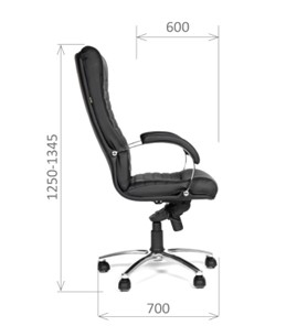 Офисное кресло CHAIRMAN 480 Экокожа премиум черная в Уфе - предосмотр 2